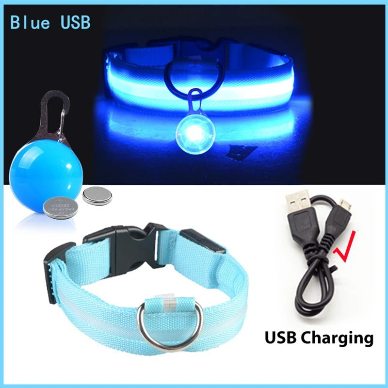 LED Rechargeable Collar + Safety Pendant