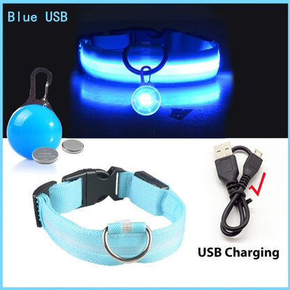 LED Rechargeable Collar + Safety Pendant