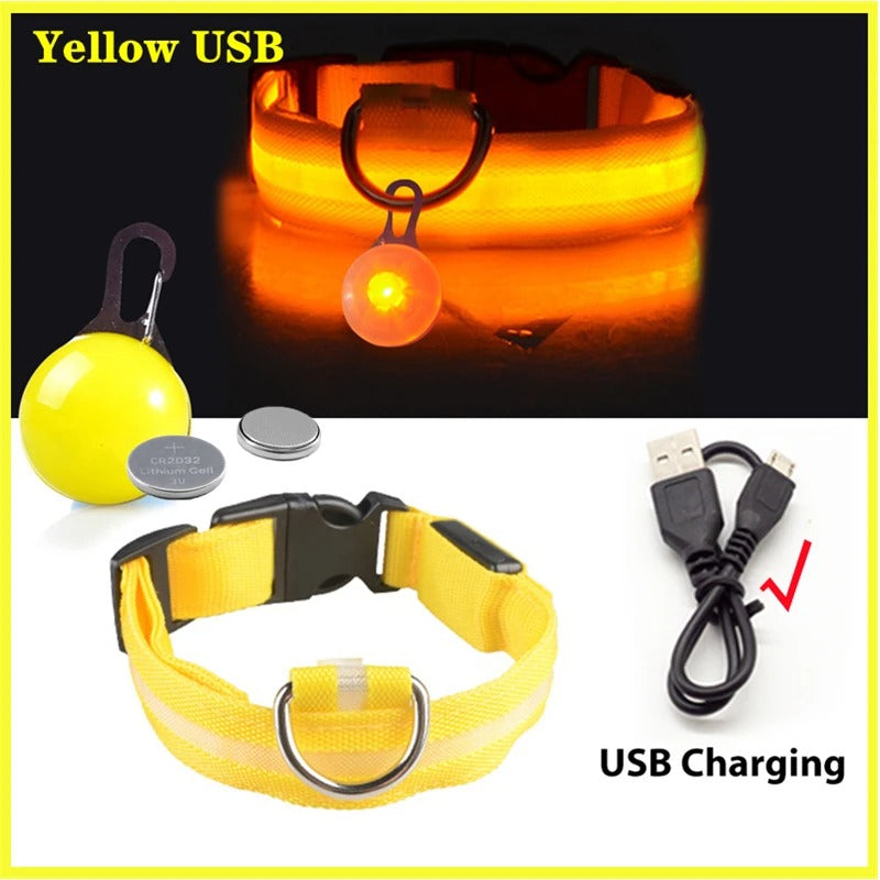 LED Rechargeable Collar + Safety Pendant