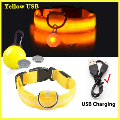 LED Rechargeable Collar + Safety Pendant
