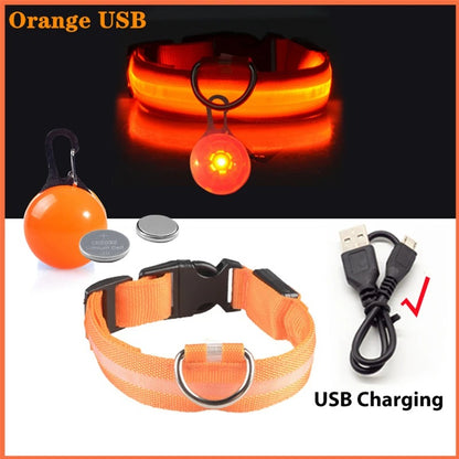 LED Rechargeable Collar + Safety Pendant