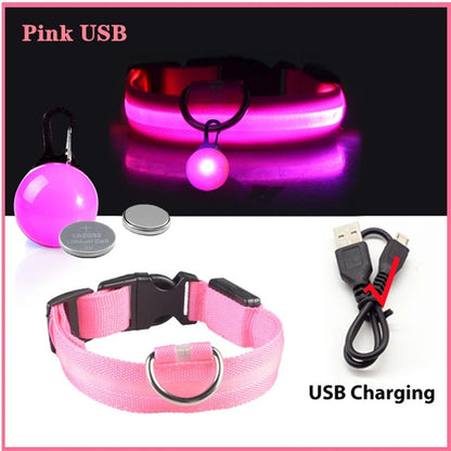 LED Rechargeable Collar + Safety Pendant