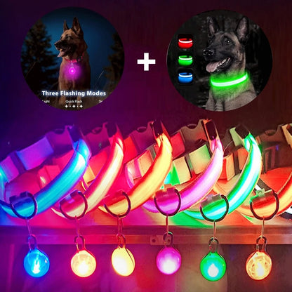 LED Rechargeable Collar + Safety Pendant