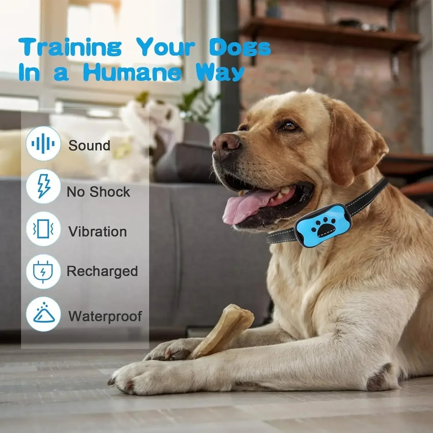 CalmSignal Anti Bark Training Collar