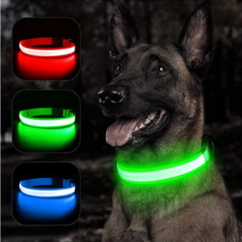LED Rechargeable Collar + Safety Pendant