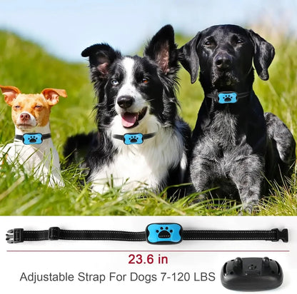 CalmSignal Anti Bark Training Collar