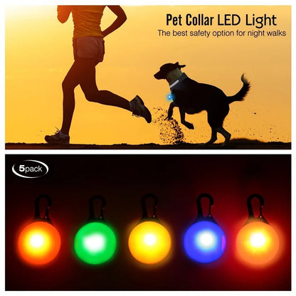 LED Rechargeable Collar + Safety Pendant