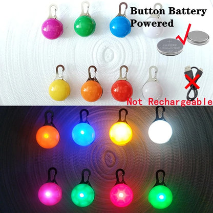 LED Rechargeable Collar + Safety Pendant
