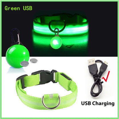 LED Rechargeable Collar + Safety Pendant